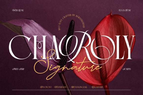 Charoly Signature: Where Classic Meets Script for Timeless Design